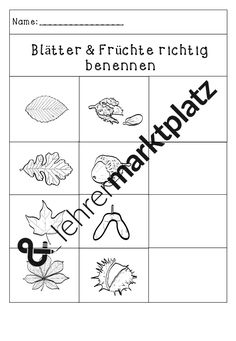 Kennenlernen 1. unterrichtsstunde