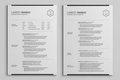 pages resume cv pack page