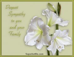 free sympathy condolences cards for facebook sympathy quotes free sympathy cards