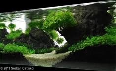 122 best cube for