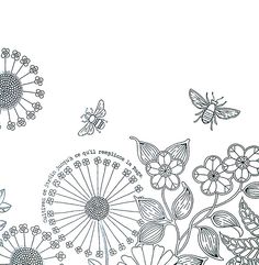 Coloring For Adults Johanna Basford Pencil Drawings Doodles Paint In Art Graphite Doodle
