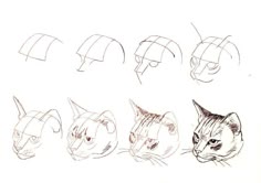 56 Ideas De Bocetos De Animales Bocetos De Animales Como Dibujar Animales Dibujo Paso A Paso