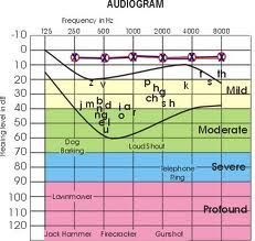 bloom and lahey chart slp pinterest chart language bloom and lahey chart
