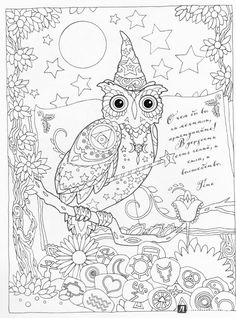 Creative Haven Owls Coloring Book By Marjorie Sarnat Wizard Owl