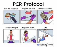Molecular Biology Funny Jokes Cultured Bacteria Science jokes Biology humor Nerd humor Molecular Biology Funny Jokes Cultured Bacteria Science jokes Biology humor Nerd humor