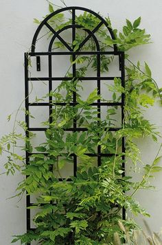 Metal Wall Trellis spanish style iron wall arbor with bouganvilla, this could also be Metal Wall Trellis spanish style iron wall arbor with bouganvilla, this could also be