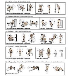 Ejercicios en el gimnasio para subir de peso