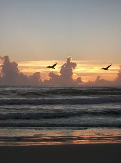 58 Best Ocean Sands Beach Inn Images On Pinterest Beaches Sand Reserve Your Room At The Ocean Sands Beach Inn A Favorite Among St Augustine Oceanfront Hotels On Quiet Strip Of Pristine In Vilano