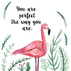 278 Best Flamingo Stuff Images Flamingos Pink Be A Flamingo In Flock Of Pigeons Never Afraid To Start Living The