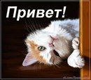 Фотографии Открытки на стенку #topCards Хорошие открытки