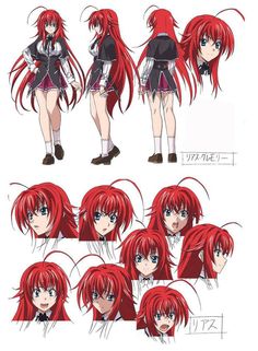 High School DxD New settei sheets
