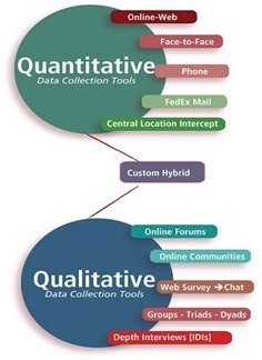 Naturalistic observation essay