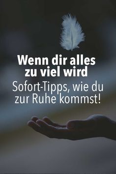 Real em tippspiel