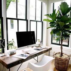home office plant layouts office desk work happily with these 50 home office designs for men organization ideas farmhouse design two small desk from guest room library rustic 498 best images on pinterest in 2018 office home office plant layouts office desk work happily with these 50 home office designs for men organization ideas farmhouse design two small desk from guest room library rustic 498 best images on pinterest in 2018 office