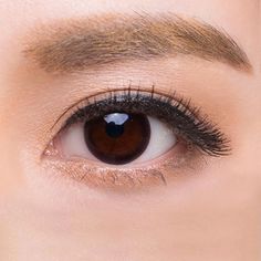 freshlook colorblends pure hazel