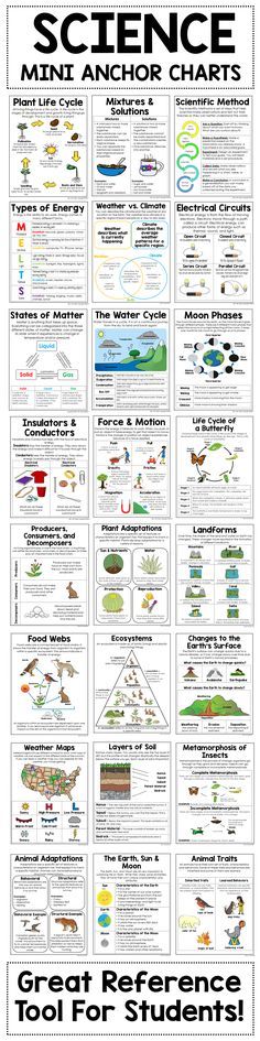 854 Best Teaching Science Images In 2019 School Life