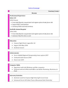 list computer skills on resume