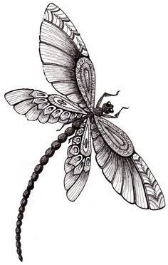 12 best dragonfly outline tattoo images dragonfly drawing dragonfly outline