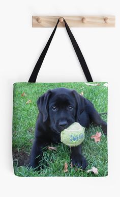 Black and White Pug Playing Ball Therapist Bag