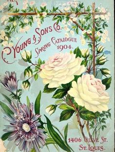 1906 Iowa Seed Roses Vintage Flowers Seed Packet Catalogue Advertisement Poster