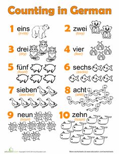 20 german worksheets activities ideas german learn german german language learning