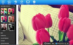 Pick Your Photo Collection