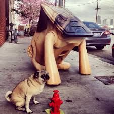 I Think Theres A Strong Resemblance Cool Recycling Bin Really Cute Puppies I Think Theres A Strong Resemblance Cool Recycling Bin Really Cute Puppies