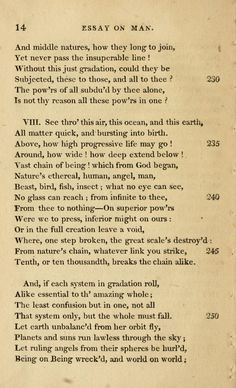 Essays on poetry