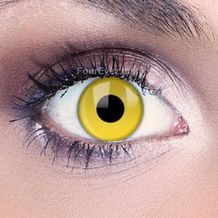 25 best yellow contact