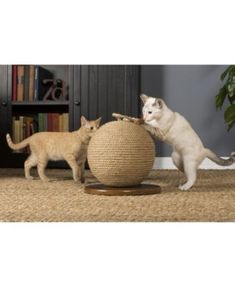 Take A Look At This Three Tier Cat Tree Today Cat Tree Condo Cat Tree Cat Condo