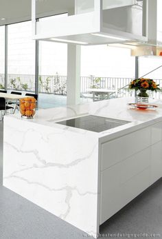 38 Best Calacatta Quartz Kitchen Images Countertops