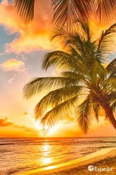 2018 年の hawaii beach のおすすめ画像 2906 件 pinterest