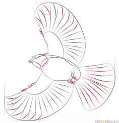How To Draw A Chickadee In Flight