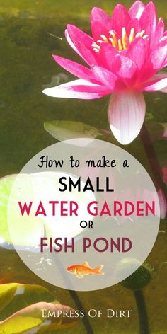 235 best aquascaping ponds