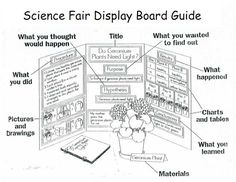 science projects layout