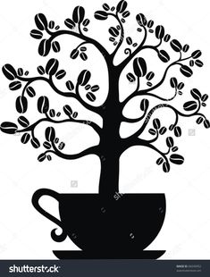 Image Result For Coffee Plant With Roots Clipart Image Result For Coffee Plant With Roots Clipart