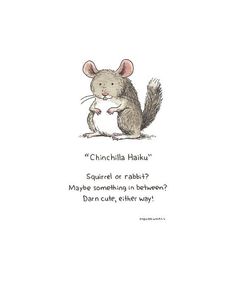 Natale Chinchilla Animale Domestico Maglietta Natale Chinchilla Animale Domestico Maglietta