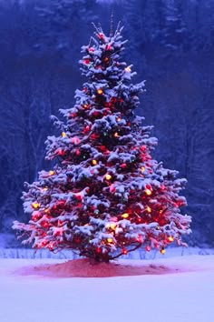 765 best christmas trees images on pinterest christmas tree merry stunning christmas trees decorated outside