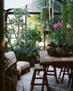 Les 51 meilleures images du tableau Jardins d\'hiver sur Pinterest en ... Les 51 meilleures images du tableau Jardins d\'hiver sur Pinterest en ...