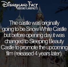 disney fact 49 for the love of disney pinterest disney facts