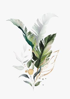 Акварельные Картины, Иллюстрации Листа, Рисунки На Холсте, Фрески, Принты С Листьями, Акварельные Открытки, Цветы Акварелью, Искусство При Помощи Листьев, Абстрактное Искусство На Стену