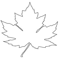 Maple Leaf Coloring Page Our Collecting With