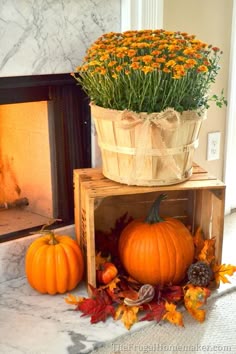 617 best mums and pumpkins images in 2018 pumpkins seasons of the