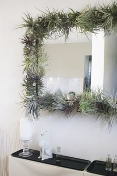 82 Best Air Plant Display Ideas Images On Pinterest Items Similar To Tillandsia Air Plant Wall Mirror Terrarium For Your On Etsy