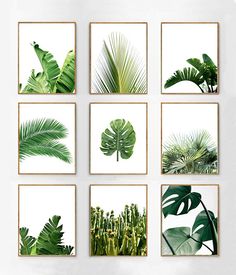 Tropical Leaf Prints Art Wall Decor Banana Botanical Prints Set Of 9 Tropical Leaves Green Wall Art Palms Banana Leaf Monstera Boho