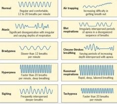 breath patterns cheyne stokes biots respiration eupnea types of breathing patterns
