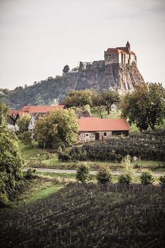 Die 10+ besten Bilder zu Ruotkers House of whiskey, gin and Die 10+ besten Bilder zu Ruotkers House of whiskey, gin and