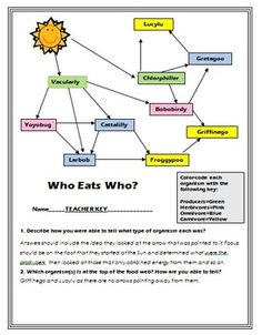 Homework help mimicry camouflage