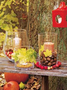 herbst deko ideen kerzenhalter dekorieren blätter beerenzweige ... Herbstliche tischdekoration zum 50 geburtstag
Herbstliche tischdekoration zum 50 geburtstag
herbst deko ideen kerzenhalter dekorieren blätter beerenzweige ...