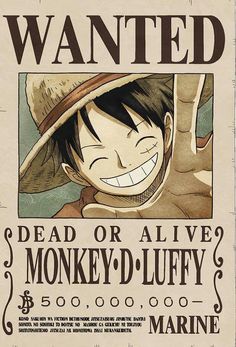 11 Supernova One Piece Ideas One Piece One Piece Bounties One Piece Anime